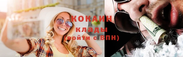 дживик Каменка