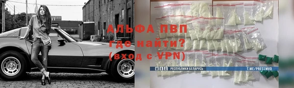 дживик Каменка