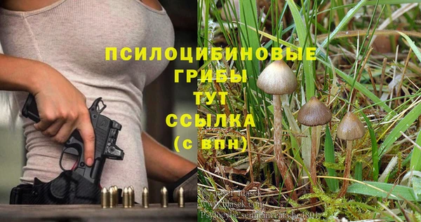 марихуана Каменногорск