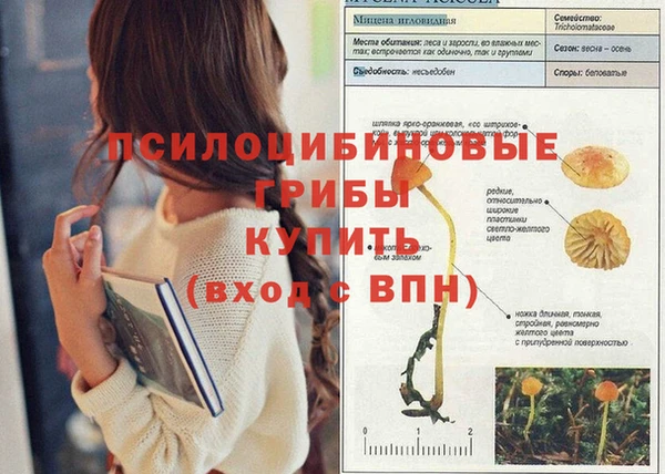 дживик Каменка