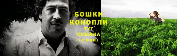 марихуана Каменногорск